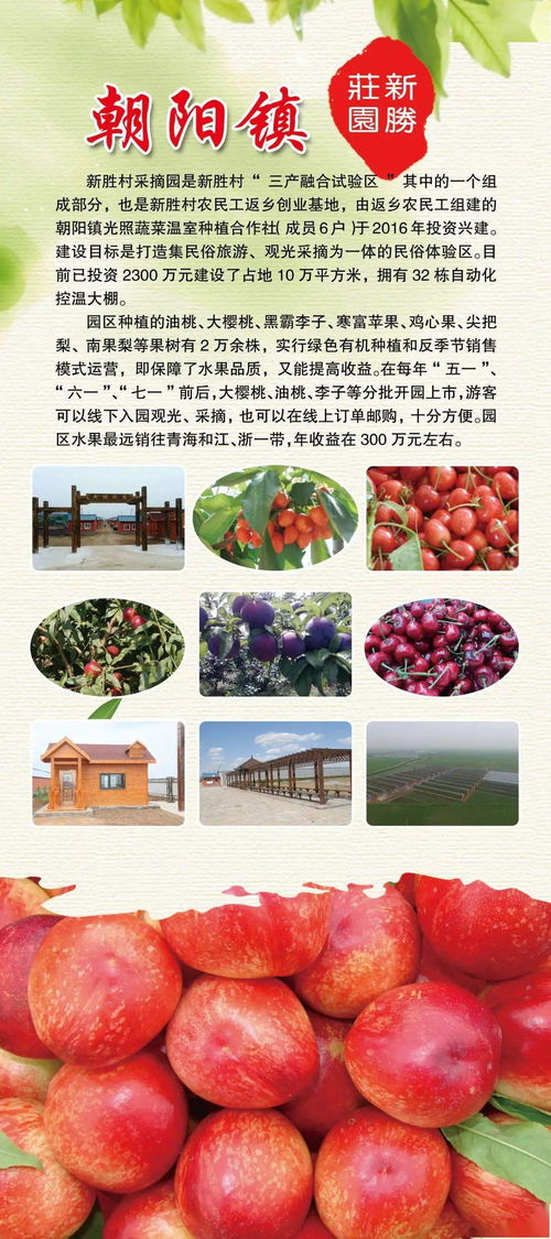 趕大集嘍！輝南鄉鎮特色農產品進縣城，助力鄉村振興