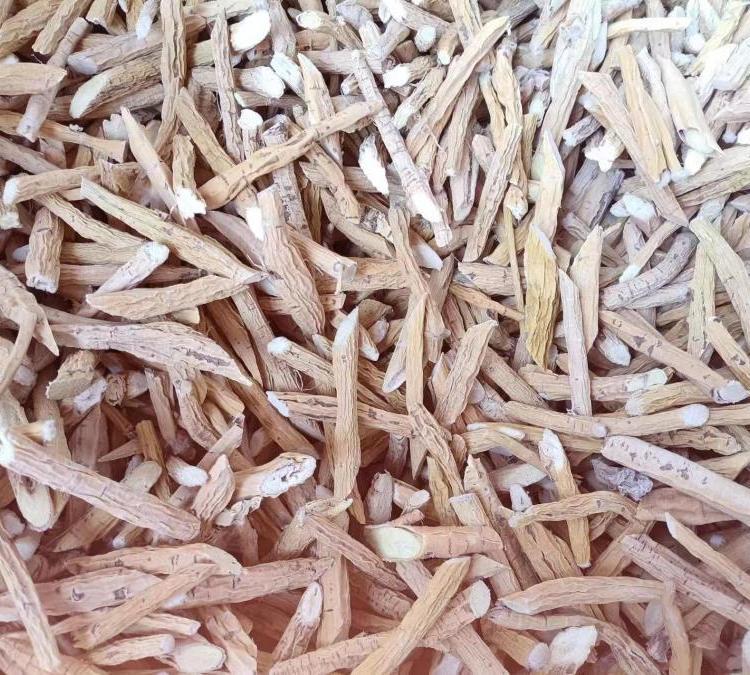 蒼術與茅蒼術 精選初級農產品，散裝批發新貨包郵