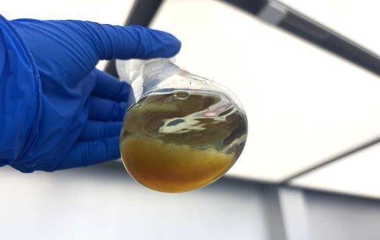 AI模型技術引領植物工廠革新 小巨人企業實現積雪草苷提取重大突破