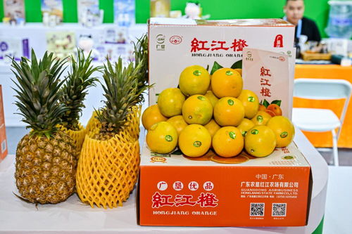 粵品越愛 廣東農漁產品香飄兩岸，共筑舌尖上的鄉情