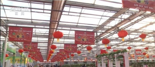 歡喜過(guò)大年丨吉林長(zhǎng)春 農(nóng)博園里年味濃，特色農(nóng)產(chǎn)受熱捧