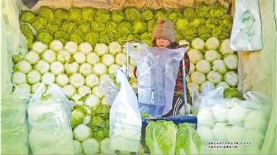 囤菜輕量化，儀式不打折 京城各大商超迎來(lái)冬儲(chǔ)菜季新氣象